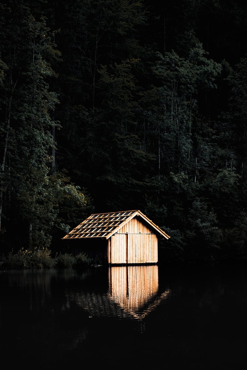 Forest Hideaway