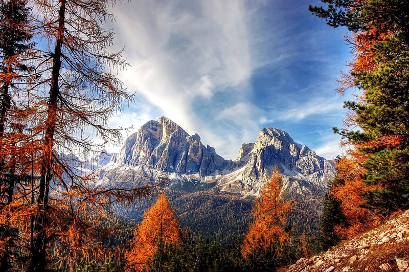 Mountain Chalet